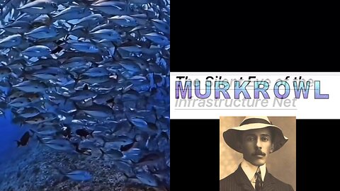 #MURKOWL