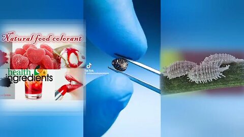 Carmine - A Food Colorant Made From Crushed Bugs!