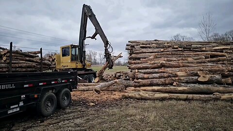 Sunday Afternoon In Tennessee. Another Load Of Oak And Hickory