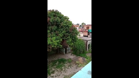 satisfying Video