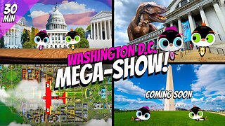 Watch These Adorable Penguins Explore Washington DC For The First Time