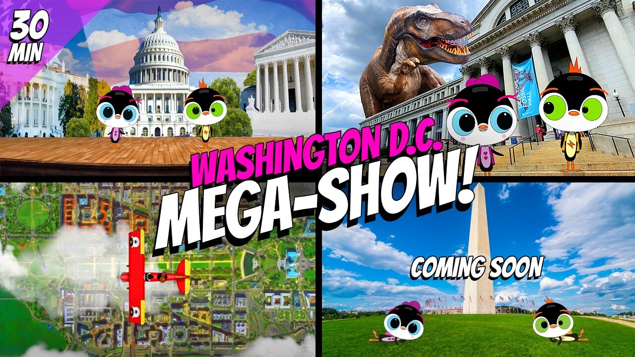 Watch These Adorable Penguins Explore Washington DC For The First Time