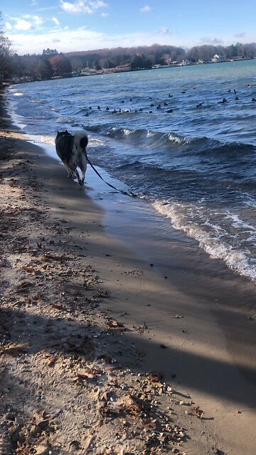 Sunday November 23, O storm battered city troubled and desolate.