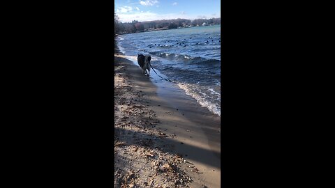 Sunday November 23, O storm battered city troubled and desolate.