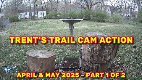 Trent's Trail Cam Action - April & May of 2025 - Part 1 of 2
