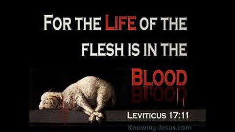 DEBATE: Is Blood Biblically Necessary for Atonement (w/ Dale Glover vs. Daniel the Muslim)