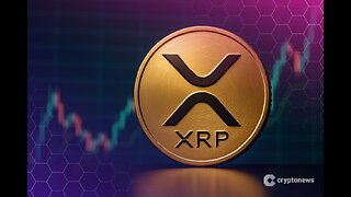 American Businessman Dave Portnoy Regrets Selling XRP: ‘I Would’ve Made Millions’