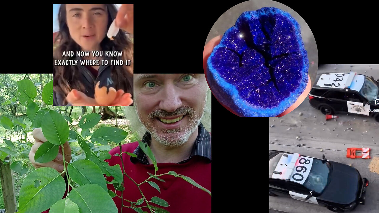 Eating membrane. CBDC against banks. Herrenvolk vs Chosen. 14th June. Israeli madness. MPEG limits