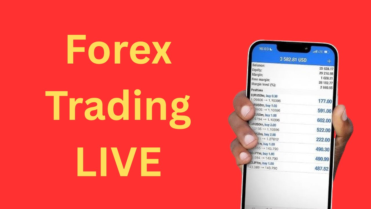 Forex Live Results + What Bot Is Working NOW?