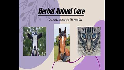 Shocking Ways Plants Heal Pets and Livestock