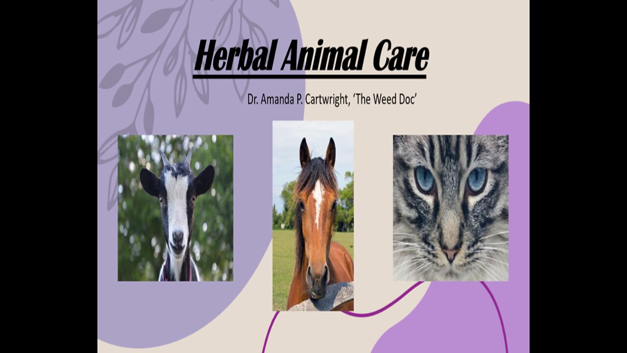 Shocking Ways Plants Heal Pets and Livestock