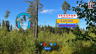 Skogpod 8. juli 2025