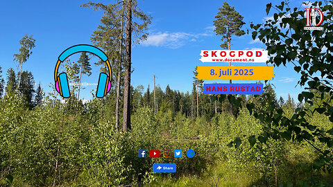 Skogpod 8. juli 2025