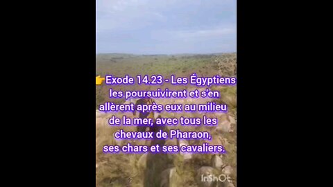 les égyptienne que tu vois ,tu ne le Vera jamais