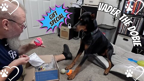 Doberman Gets His First Fan Mail | Unboxing and reaction🐾