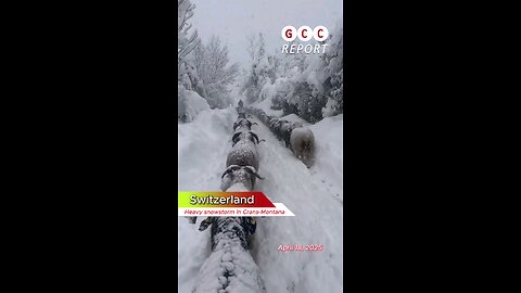 #Switzerland #snowstorm #destruction #anomaly #climatecrisis #weather #climatechange