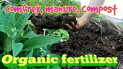Organic Fertilizer - Comfrey Compost Manure