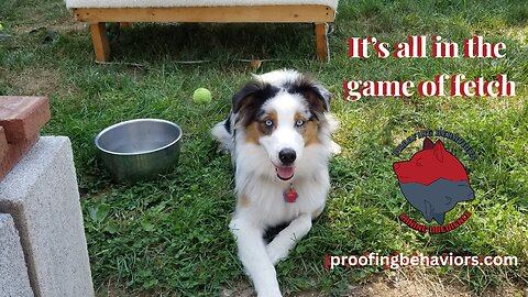 Cable it's all in the game of Fetch part 1