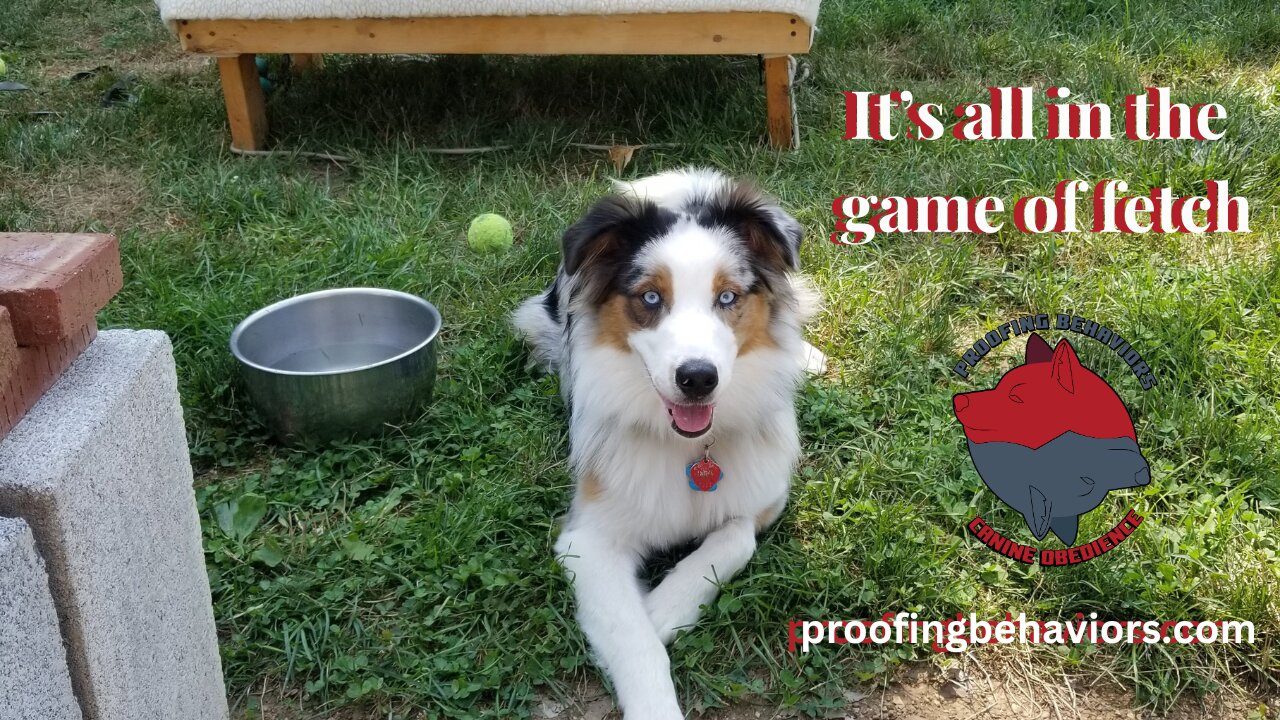 Cable it's all in the game of Fetch part 1