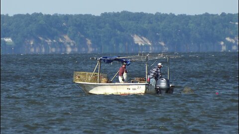THE CRABBERS