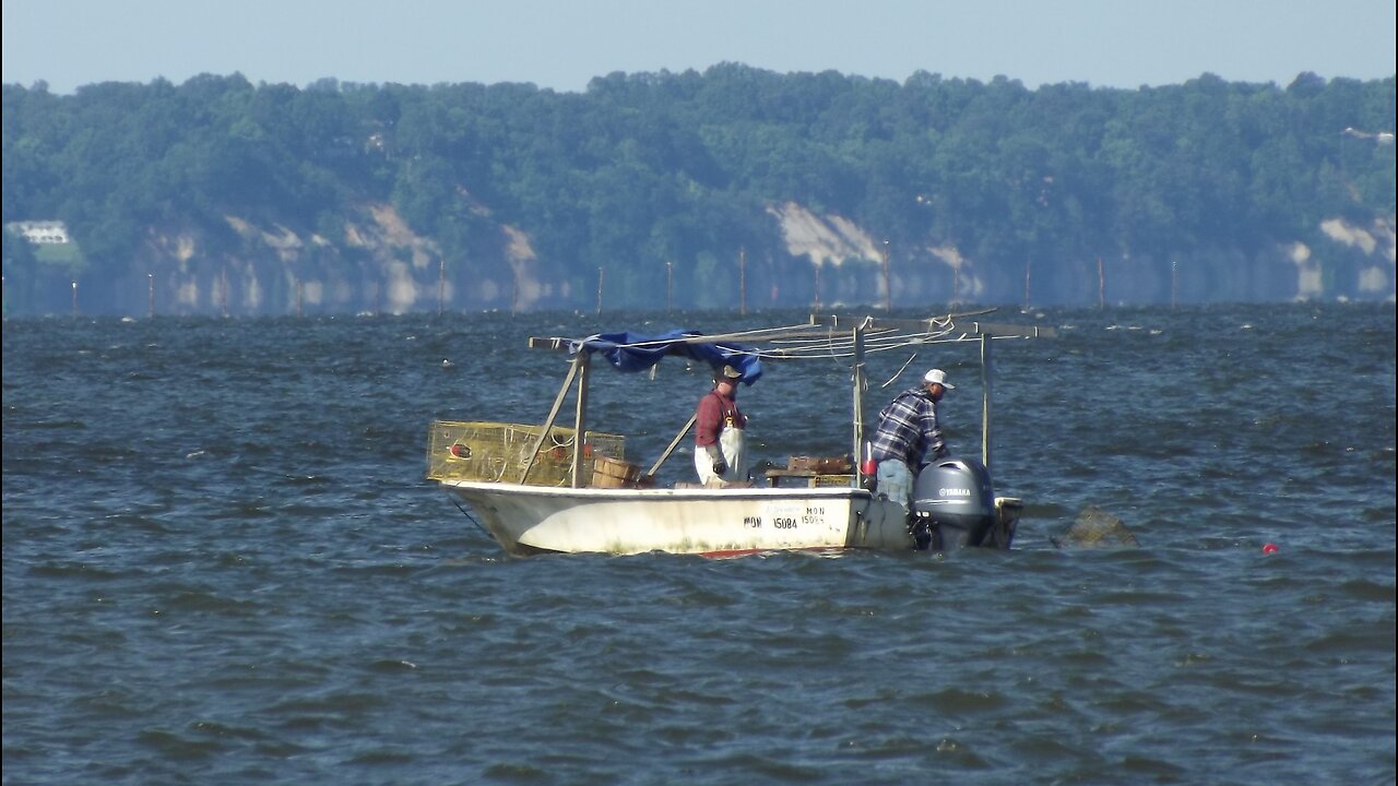 THE CRABBERS