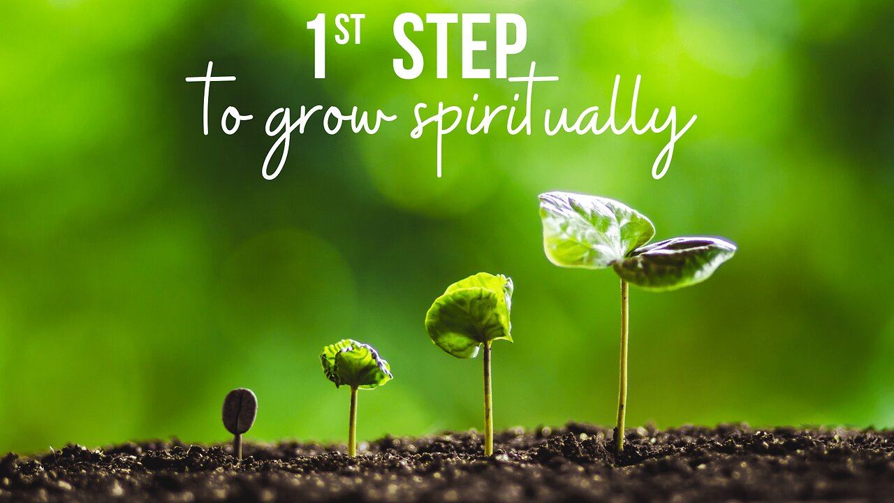 The Morning Symphony of Nature | A Wake-Up Call to Save Forests