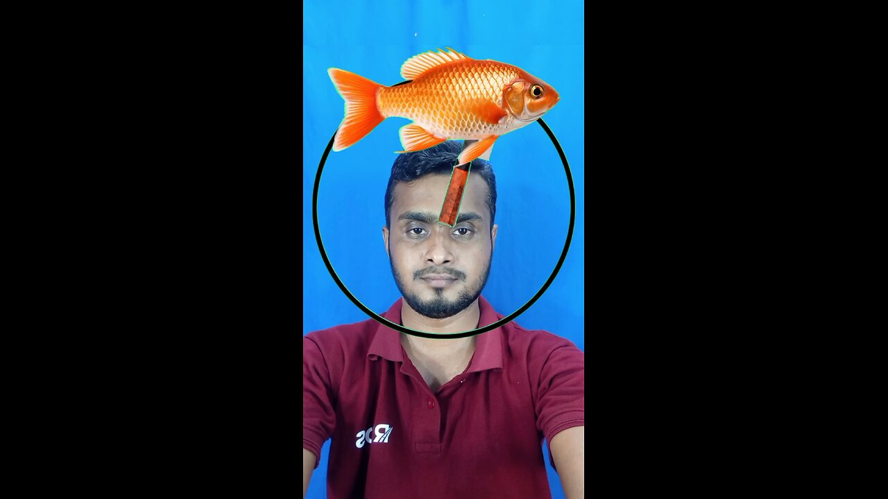 মাছটি কেটে দেখান ০৯ #reels #puzzle #challenge #viralreels #tending #foryou #saggestforyou