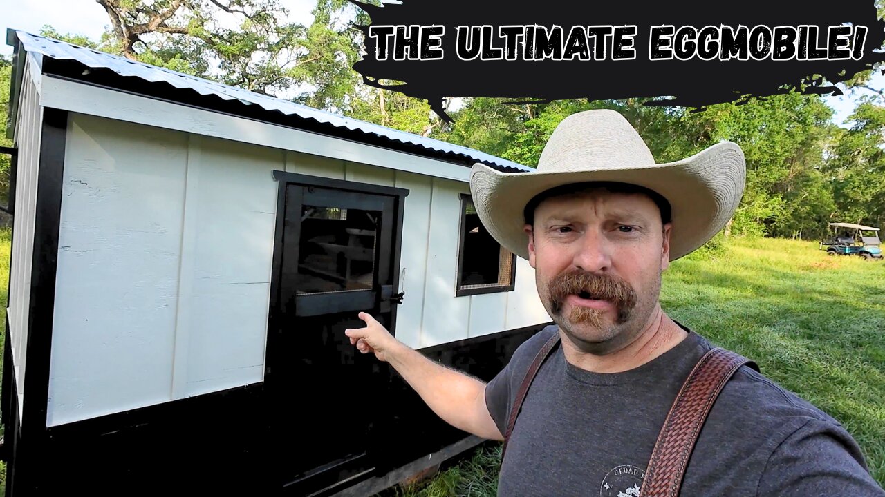 The Ultimate Eggmobile Build! Years of Chicken Coop Experience in One Design