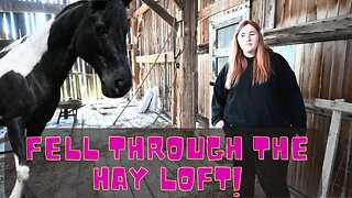 The HORSE Fell through the Floor in the Hay Loft