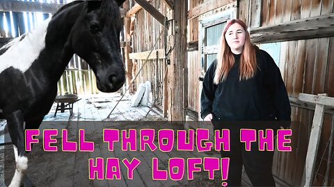 The HORSE Fell through the Floor in the Hay Loft