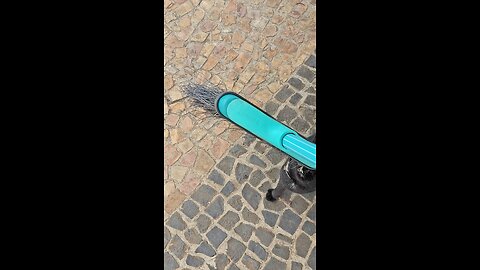 Fêmea e vassoura