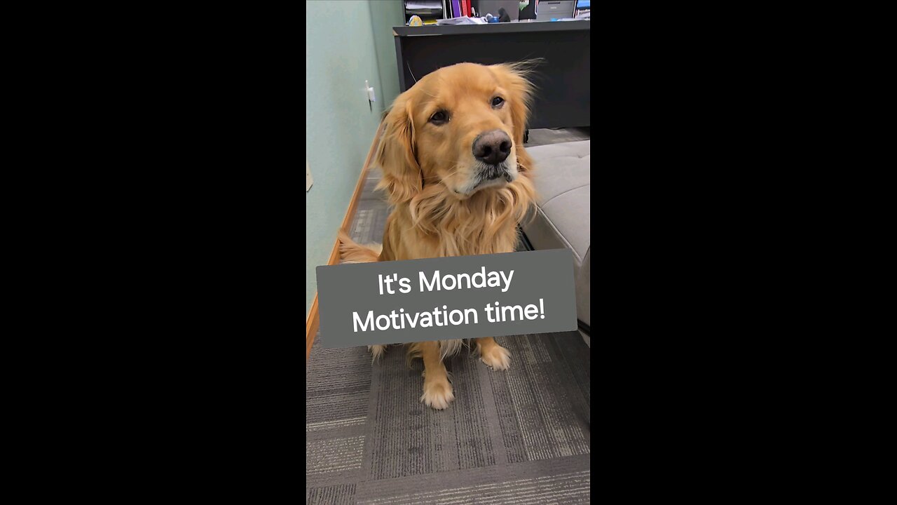 Maverick can make anything motivating!