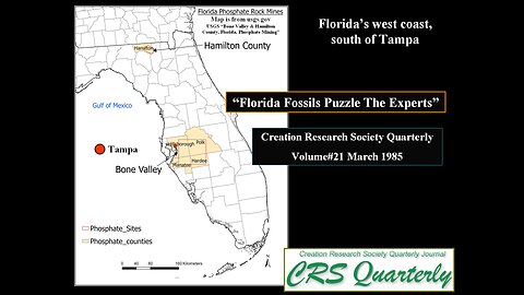 The Phosphate Beds of South Carolina (Part#5)