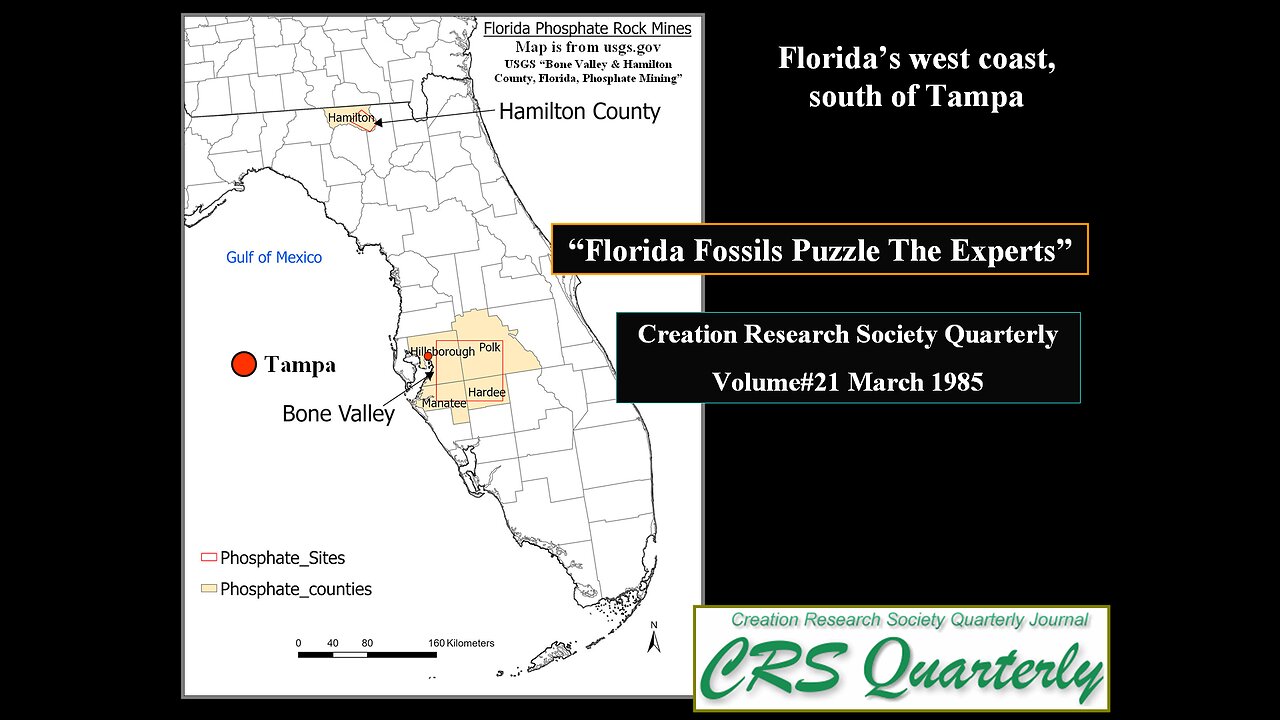 The Phosphate Beds of South Carolina (Part#5)