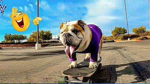 2025’s Funniest Dogs & Cats 😂 You Won’t Stop Laughing! | You Laugh You lose 😍😸😹 #Ep68