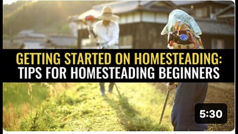 Beginner's Guide to Homesteading: Essential Tips to get started