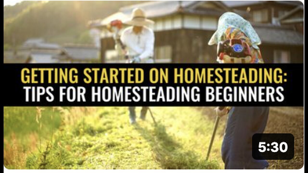 Beginner's Guide to Homesteading: Essential Tips to get started