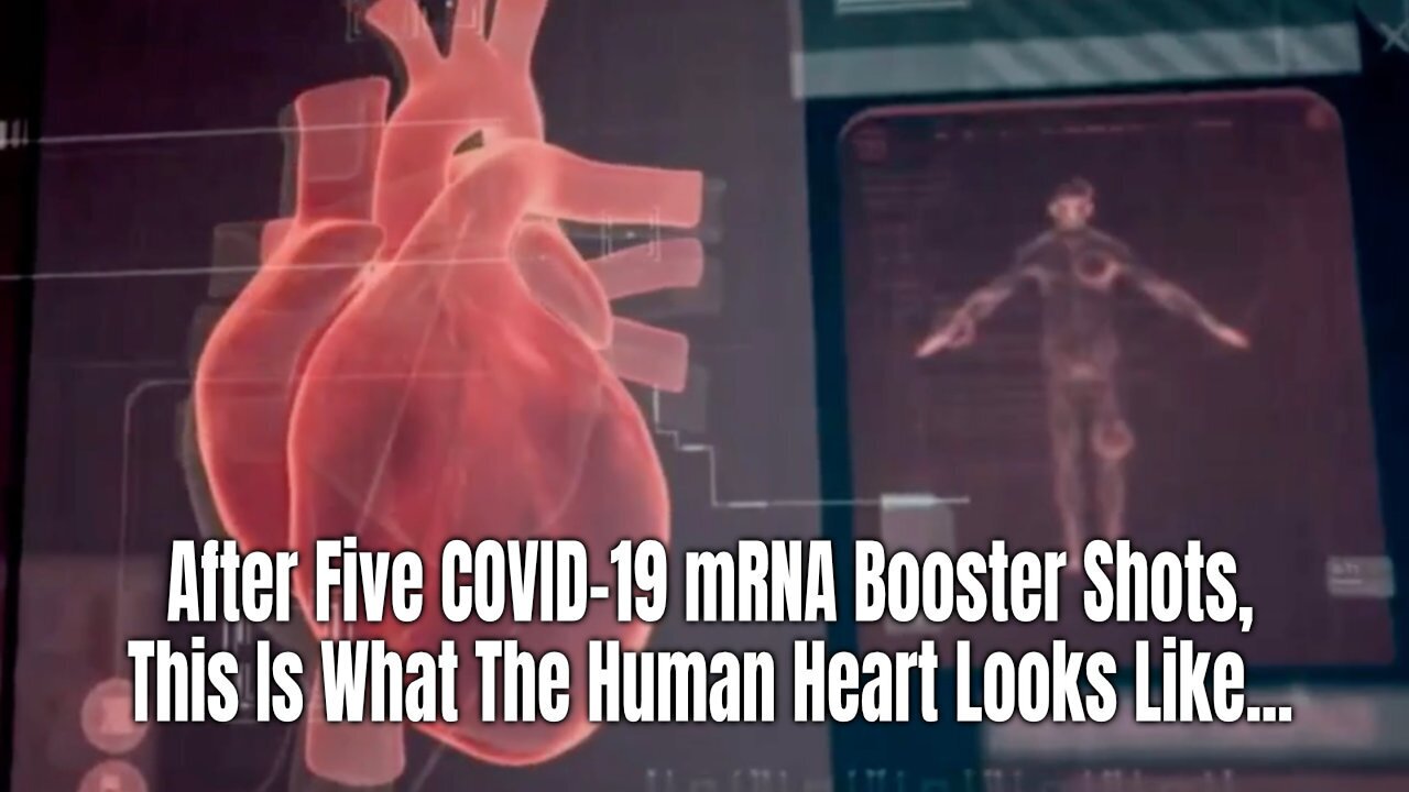 Nicolas Hulscher: After Five COVID-19 mRNA Booster Shots, This Is What The Human Heart Looks Like...