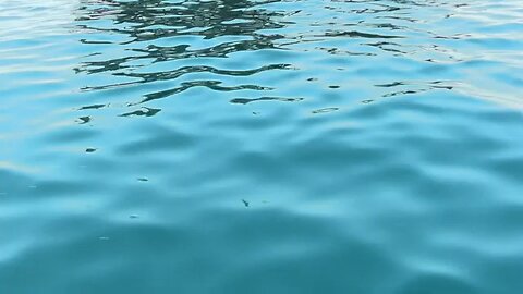 Qataris hooked on traditional handline fishing competition