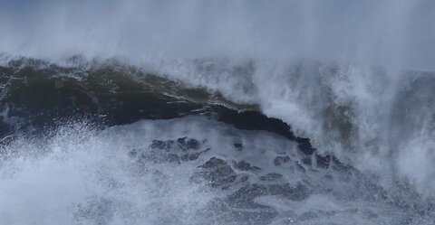 Sea Mist