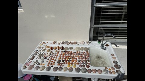 Beach Finds 2/6/2026 | 4K