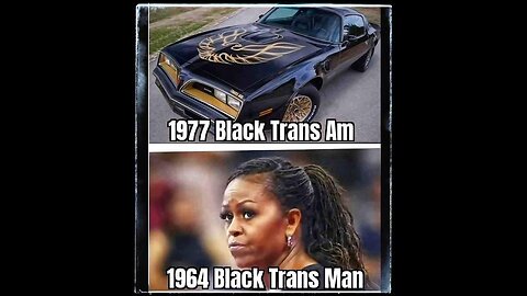 📺🪪 NEW TV SERIES: “EBT DOWN” @FollowsTheWhiteRabbit 🐇