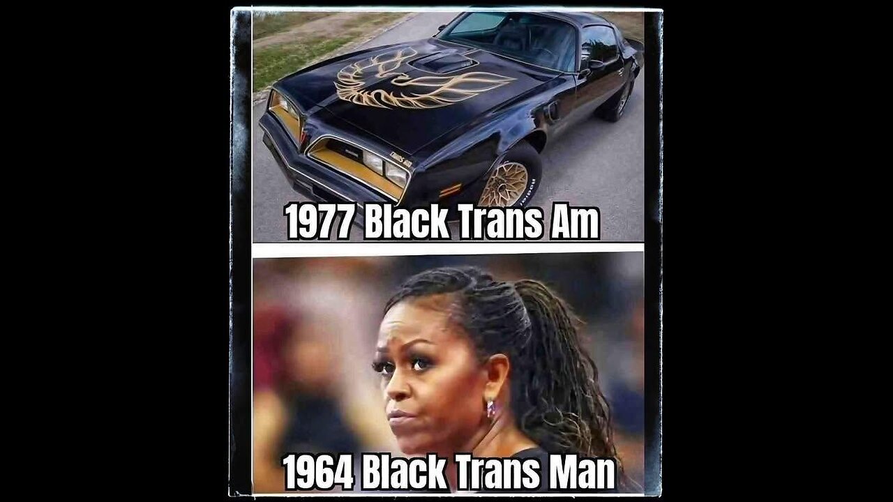 📺🪪 NEW TV SERIES: “EBT DOWN” @FollowsTheWhiteRabbit 🐇