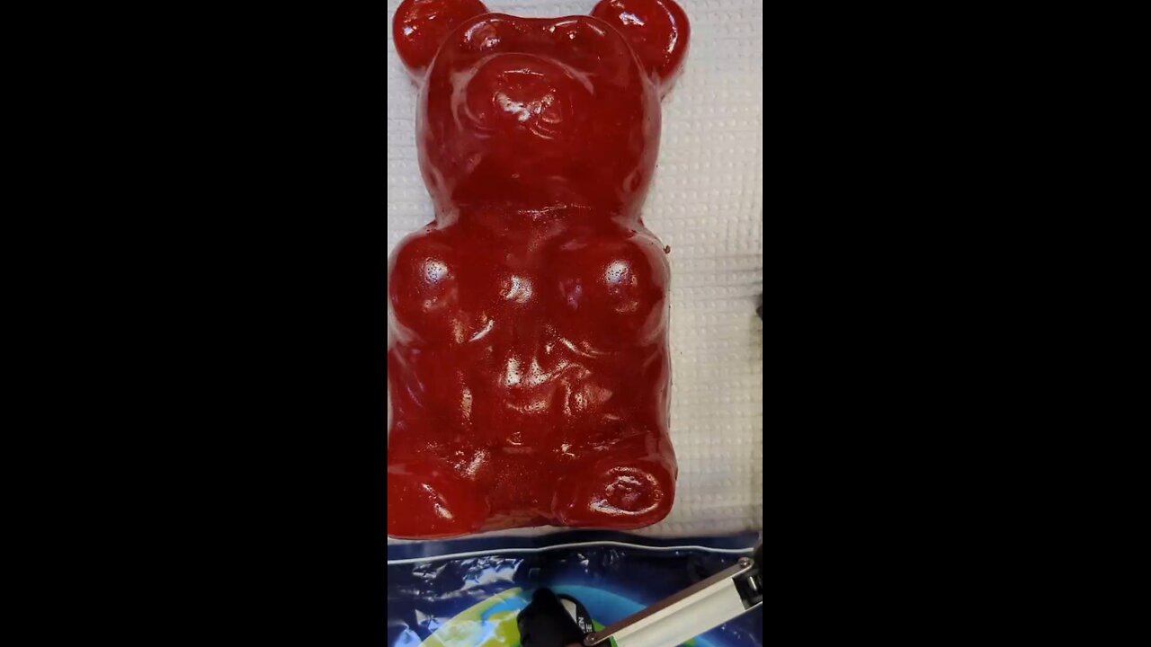 5lb Gummy Bear Alien Autopsy