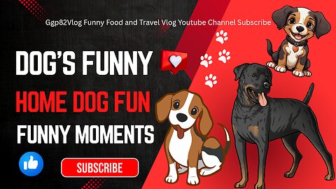 Dog's Funny Video Home Dogs Fun Dog Fun Memories