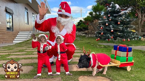 YiYi and YinYin eagerly join grandpa in giving Christmas gifts to many preschool children