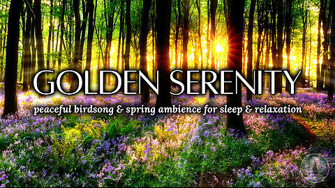 Golden Serenity | Peaceful Birdsong & Spring Ambience for Sleep, Relaxation & Meditation