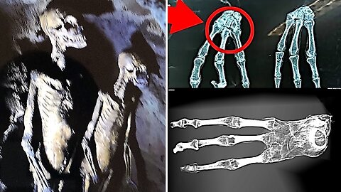 They Just Released A New Video Of The Nazca Mummies "They Are Not Human"