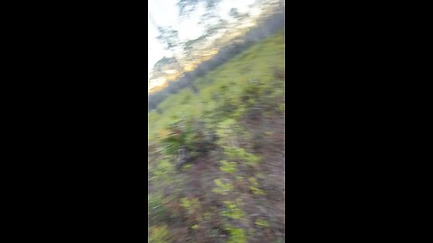 Time for the hunt to end and to go back to the camp.