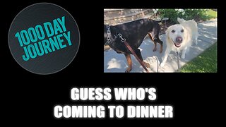 1000 Day Journey 0733 Guess Who's Coming to Dinner